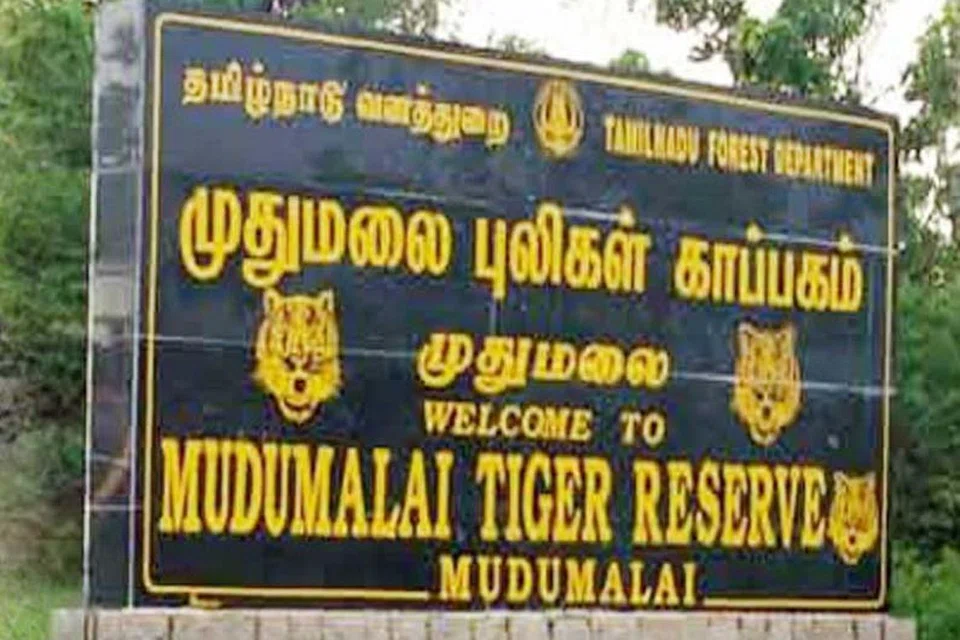 60க்கும் அதிகமான வனத்துறையினர், வேட்டை தடுப்பு காவலர்கள் தீயை அணைக்கும் பணியில் ஈடுபட்டனர்.