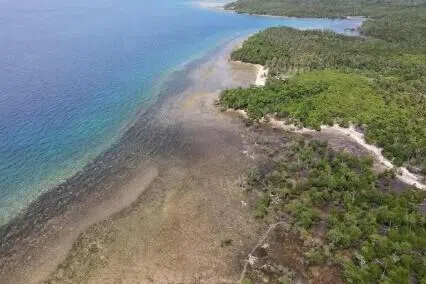 ஆசிய சதுப்புநிலப் பாதுகாப்பில் முட்டுக்கட்டைகளைச் சமாளிக்க மூன்றாண்டுத் திட்டம்