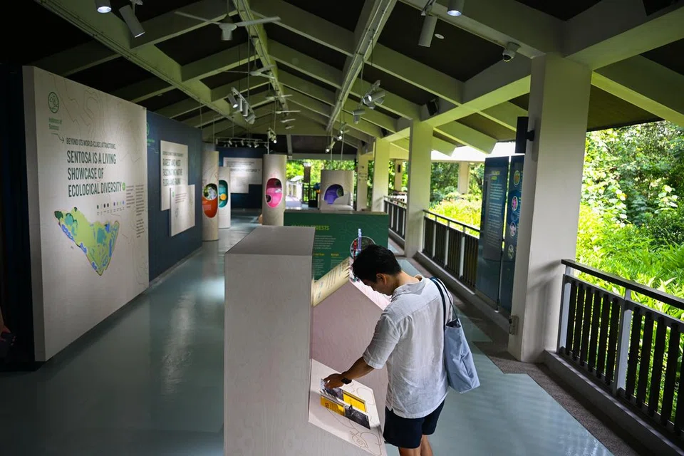 செந்தோசா இயற்கைக் கண்டுபிடிப்பு நிலையத்தில் (Sentosa Nature Discovery) உள்ள பல்லுயிர்கள், பாதுகாப்பு முயற்சிகள் குறித்துப் பொதுமக்கள் வழிகாட்டப்பட்ட இலவசச் சுற்றுலாக்களில் பங்கேற்கலாம்.