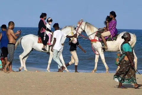 சென்னை மெரினாவில் மட்டுமின்றி, ஊட்டி, கொடைக்கானல் போன்ற மலைப்பிரதேச சுற்றுலாத் தலங்களிலும் குதிரை சவாரிக்குக் கடும் கட்டுப்பாடுகளை விதித்துத் தமிழகக் கால்நடைப் பராமரிப்புத்துறை உத்தரவிட்டுள்ளது.  