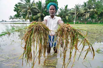 தமிழகத்தின் சில பகுதிகளில் நிலத்தடி நீர்மட்டம் வெகுவாகக் குறைந்து வருவதாக நீர்வளத்துறை அதிகாரிகள் கவலை தெரிவித்துள்ளனர்.