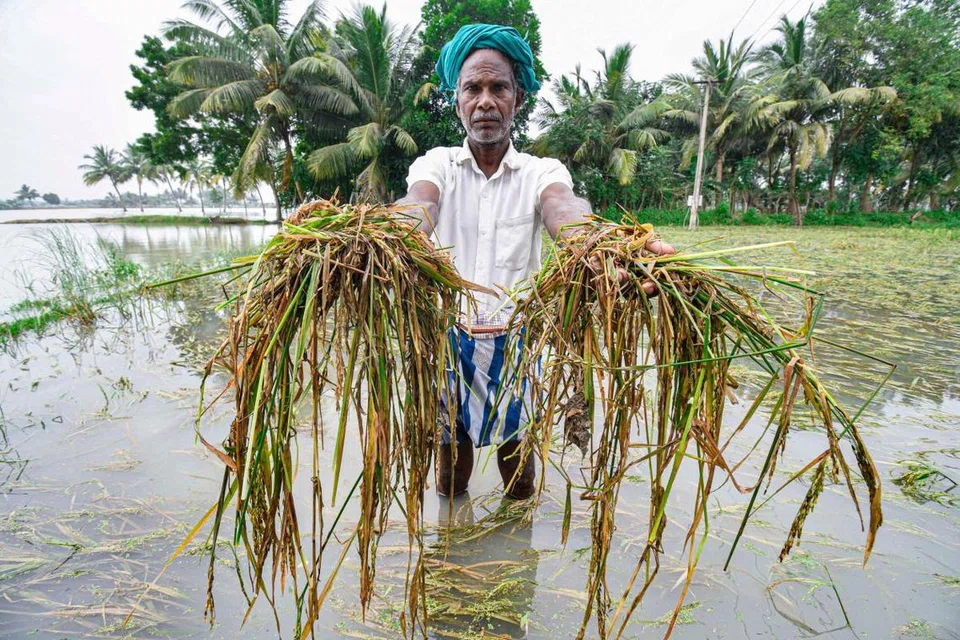 தமிழகத்தின் சில பகுதிகளில் நிலத்தடி நீர்மட்டம் வெகுவாகக் குறைந்து வருவதாக நீர்வளத்துறை அதிகாரிகள் கவலை தெரிவித்துள்ளனர்.
