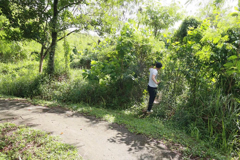 கிராஞ்சி எம்ஆர்டி நிலையம் அருகே உள்ள காட்டுப்பகுதியில் காணப்படும் ஒடுக்கமான பாதையின் நுழைவாயில்.