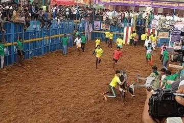 அடக்க முடியாத காளைகள், சிறந்த மாடுபிடி வீரர்களுக்கு இரு சக்கர வாகனங்கள், மின்விசிறி, எவர்சில்வர் பாத்திரங்கள், கட்டில் உள்ளிட்ட பரிசுகள் வழங்கப்பட்டன.
