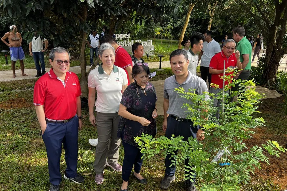 அமைச்சர் டெஸ்மண்ட் லீயுடன், தோட்ட நகர நிதியில் பல்லாண்டுகள் சேவையாற்றிவந்துள்ள திருவாட்டி கிர்த்திடா மெக்கானி (நடுவில்). அவர் 2007ல் தான் நட்ட முதல் மரமான கடல் திராட்சையையும் லேப்ரடார் பூங்காவில்தான் நட்டார்.