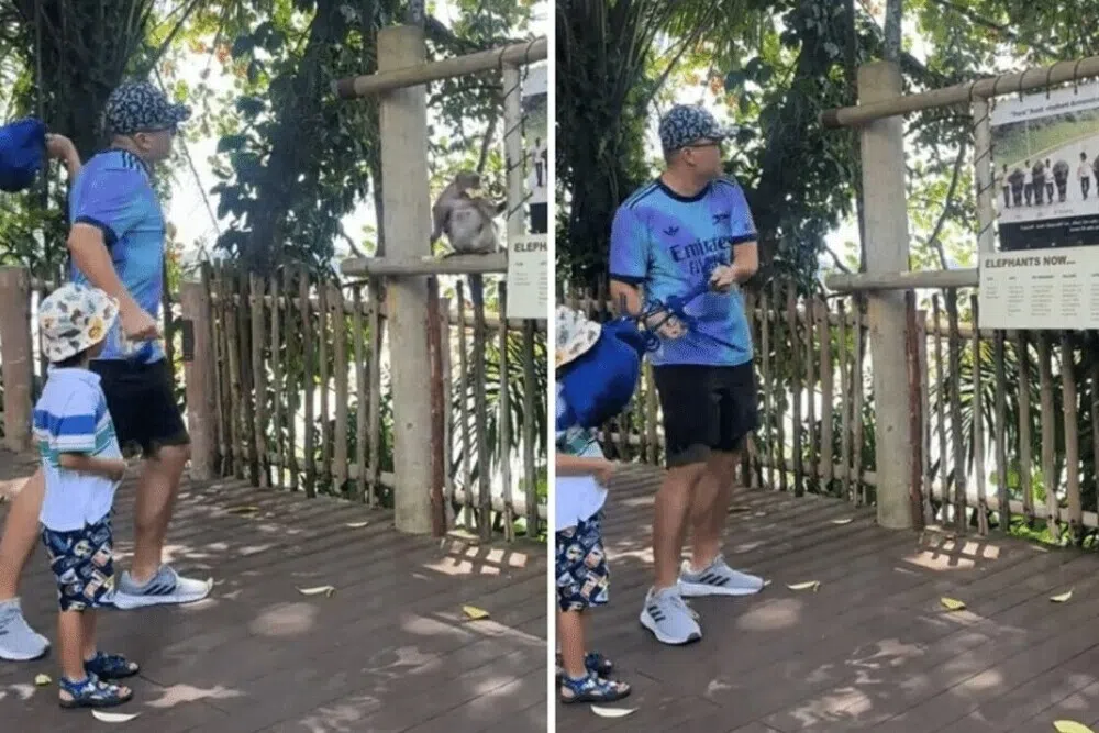 விலங்குகளைச் சினமூட்டக் கூடாதென வலியுறுத்தும் வனவிலங்குத் தோட்டம்