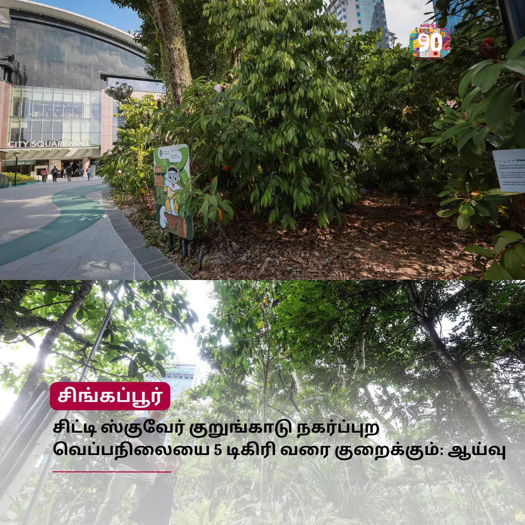 முரசு மேடை: சிட்டி ஸ்குவேர் குறுங்காடு நகர்ப்புற வெப்பநிலையை 5 டிகிரி வரை குறைக்கும்: ஆய்வு