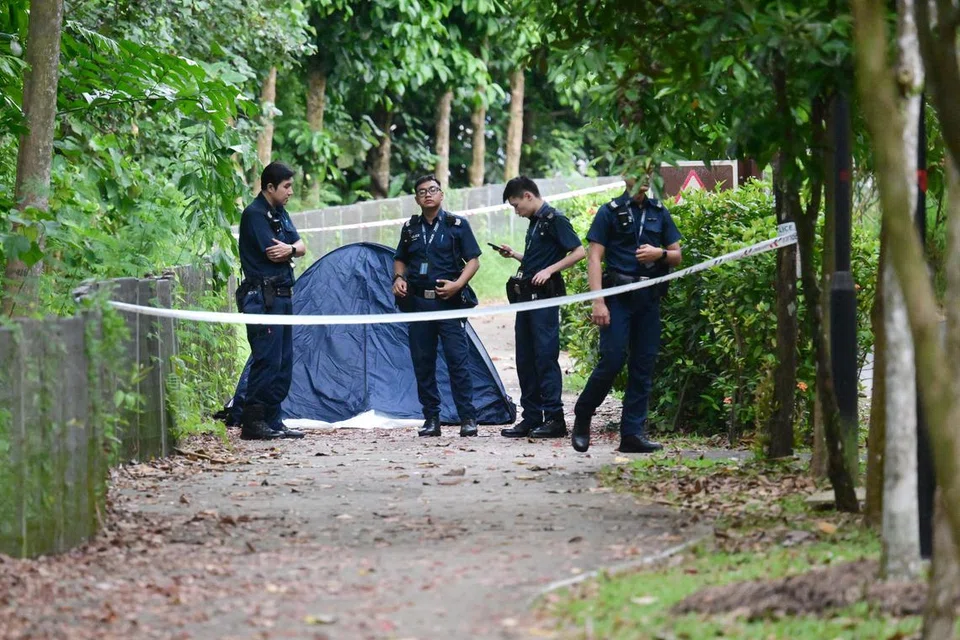 c040bbf2-76bf-45ee-b756-e912a397f9f9