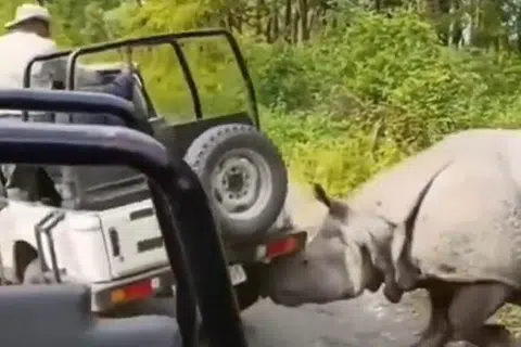 உயிர் தப்பிய பயணிகள் வாகன ஓட்டுநரைப் பாராட்டினர்.