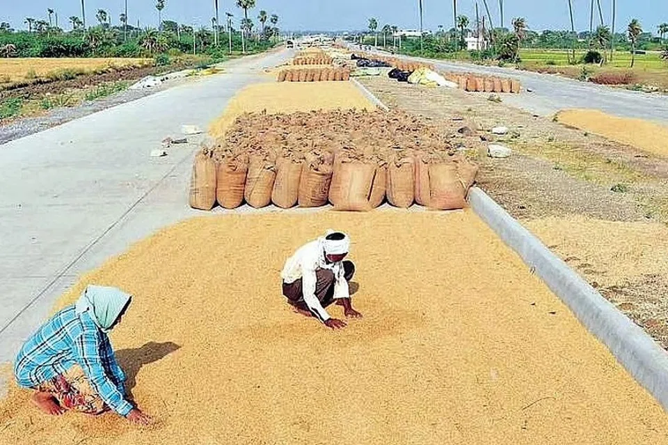 சேமிப்பின்போது நெல் இழப்பு ஏற்படுவது அண்மைய ஆண்டுகளில் குறைந்துள்ளதாக அதிகாரிகள் தெரிவித்தனர்.