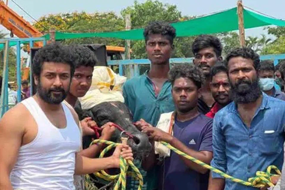 ‘வாடிவாசல்’ படப்பிடிப்பில் சூர்யா, வெற்றிமாறன்.