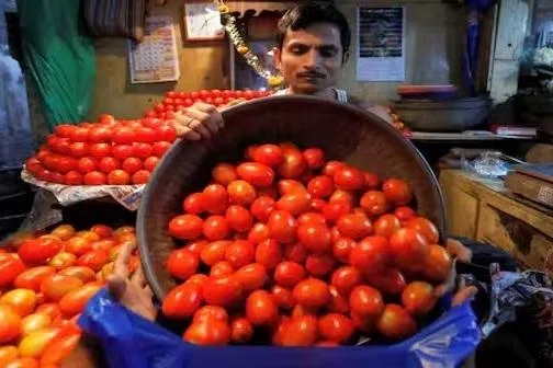 தமிழ்நாட்டில் தக்காளி விலை வீழ்ச்சி