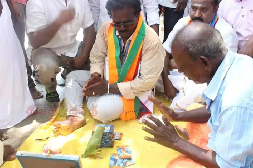 கிளி எடுத்துக் கொடுத்த சீட்டில் எதிர்காலம் சிறப்பாக உள்ளது என்று இருந்தது.
