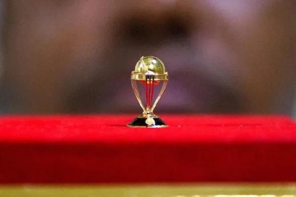 ஆகச் சிறிய உலகக் கிண்ண மாதிரி.