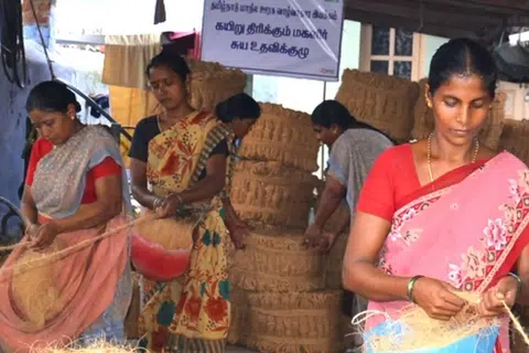 மாநிலம் முழுவதும் உள்ள 388 வட்டாரங்களிலும் முழுமையான ஆய்வு நடத்த உத்தரவிடப்பட்டுள்ளது.
