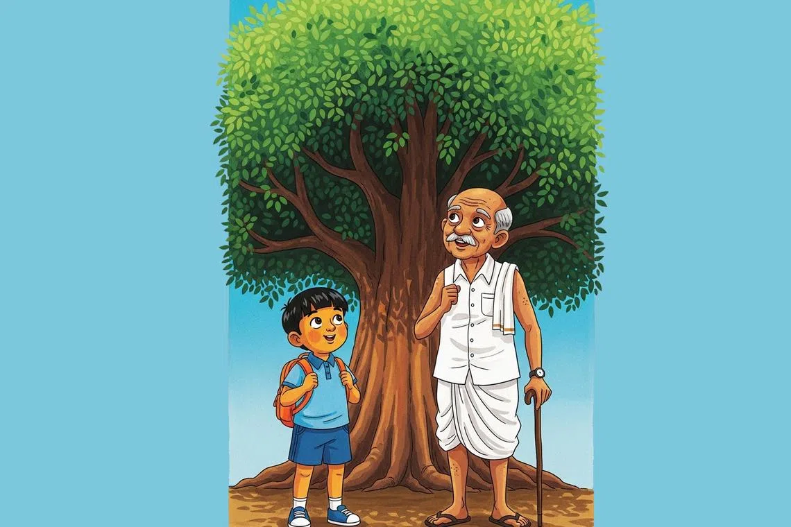 நிழலின் அருமை வெயிலில் தெரியும்