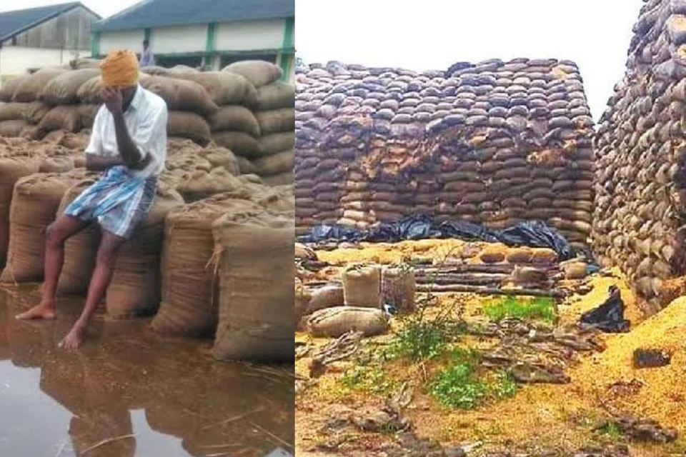 மழைக்காலம் என்றாலே நெல் மூட்டைகள் மழையில் நனைந்து வீணாகப் போவது தொடர்கதையாகி வருவதாகவும், இதனால் அரசுக்கு பல ஆயிரம் ரூபாய் வருவாய் இழப்பு ஏற்படுகிறது என்றும் விவசாயிகள் தெரிவித்துள்ளனர்.