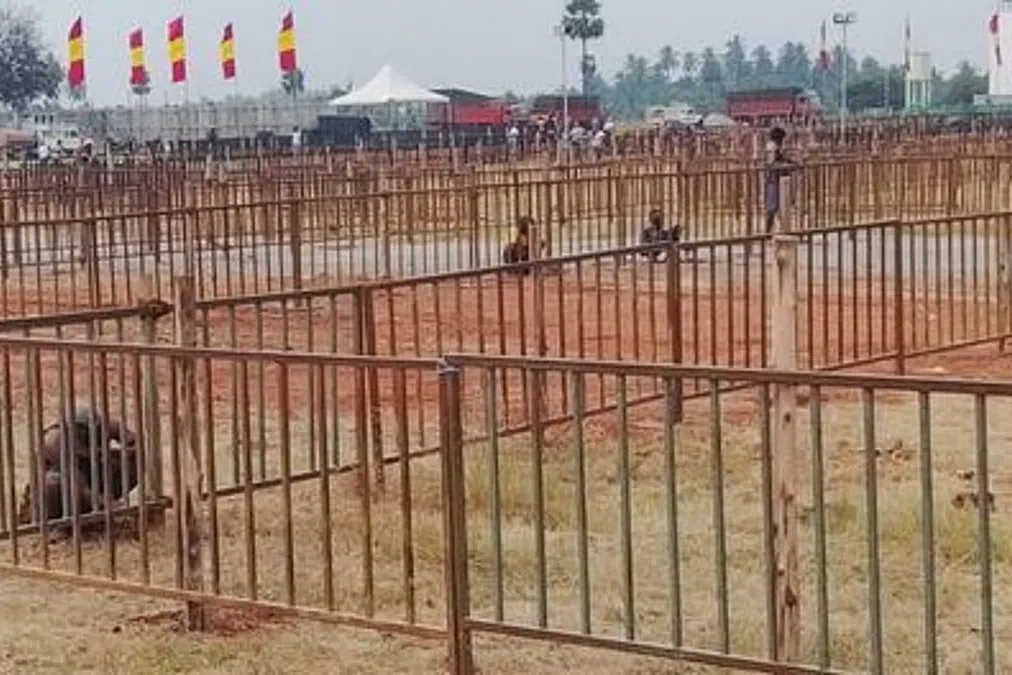 2026 தேர்தலில் தனித்து விடப்படும் விஜய்! பெருந்துறை பிரசாரத்திற்கு கடும் கட்டுப்பாடுகள்