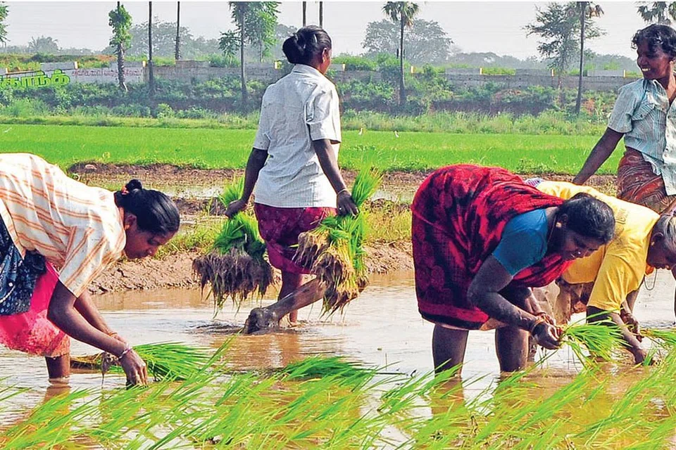 தமிழகத்தில் நீர்வளங்களைப் பாதுகாக்க வேண்டிய கட்டாயம் ஏற்பட்டுள்ளது.