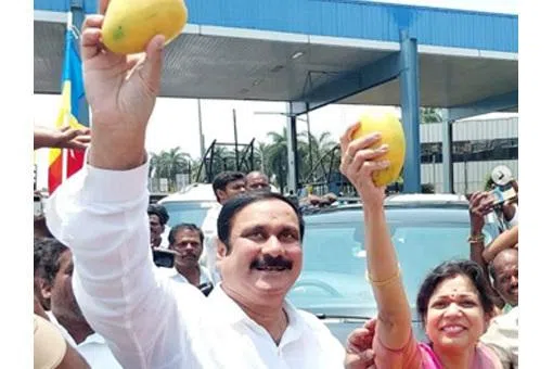 மாம்பழப்போட்டி: அன்புமணி மீதான வழக்கு விசாரணைக்கு வருகிறது