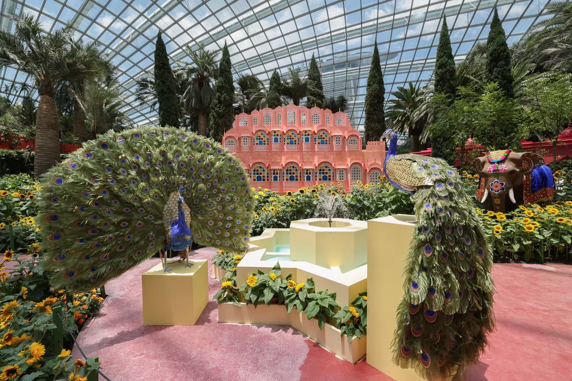 இந்தியா-சிங்கப்பூர் இருதரப்பு உறவுகளைக் குறிக்கும் சூரியகாந்தி மலர்கள்