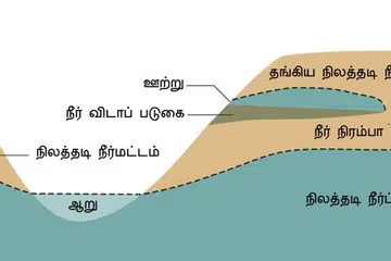 இந்த ஆய்வு அறிக்கையின்படி, நிலத்தடி நீர்மட்டத்தை உயர்த்த அரசு உரிய நடவடிக்கைகளை மேற்கொள்ளும்.