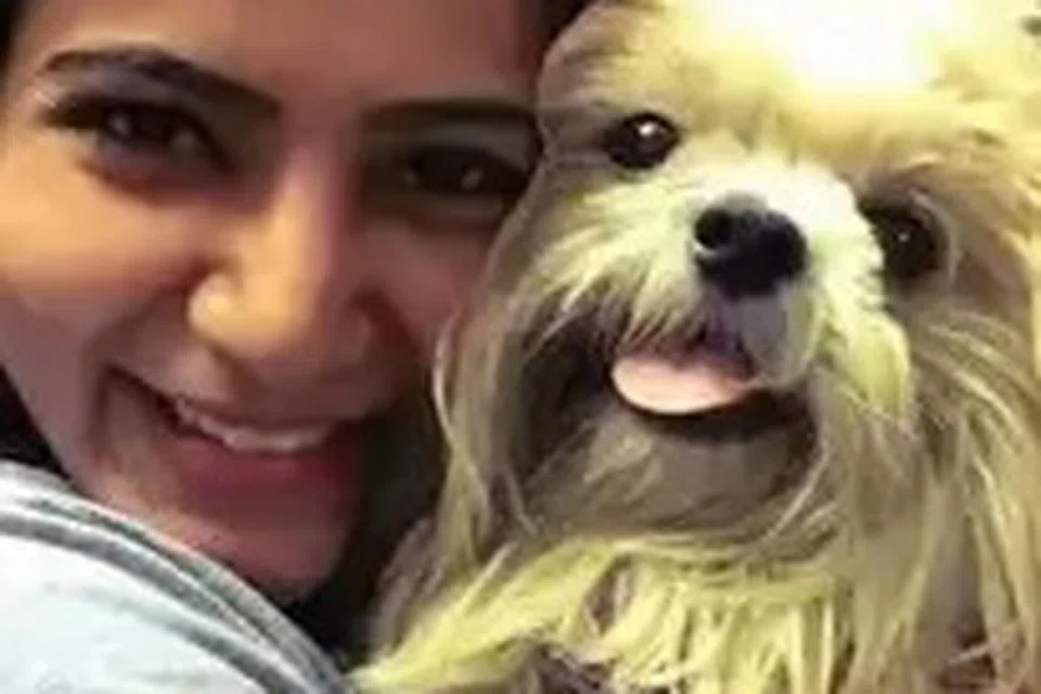 சமந்தா.