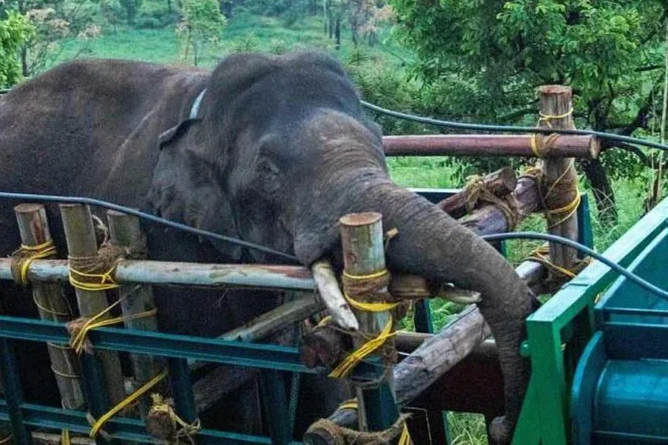 படம்: ஏஎஃப்பி