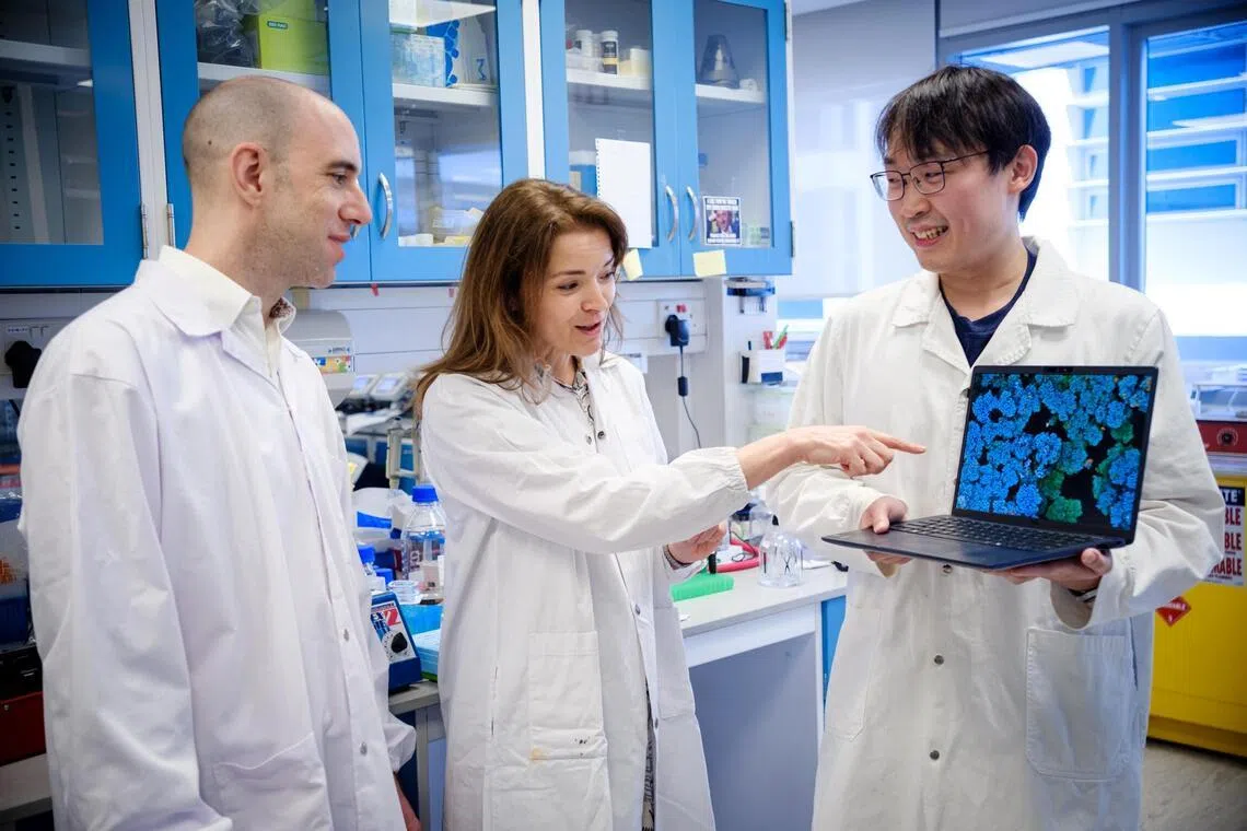 நாட்பட்ட காயங்களை குணமாக்கும் ஆய்வில் தொழில்நுட்பப் பல்கலைக்கழகம்