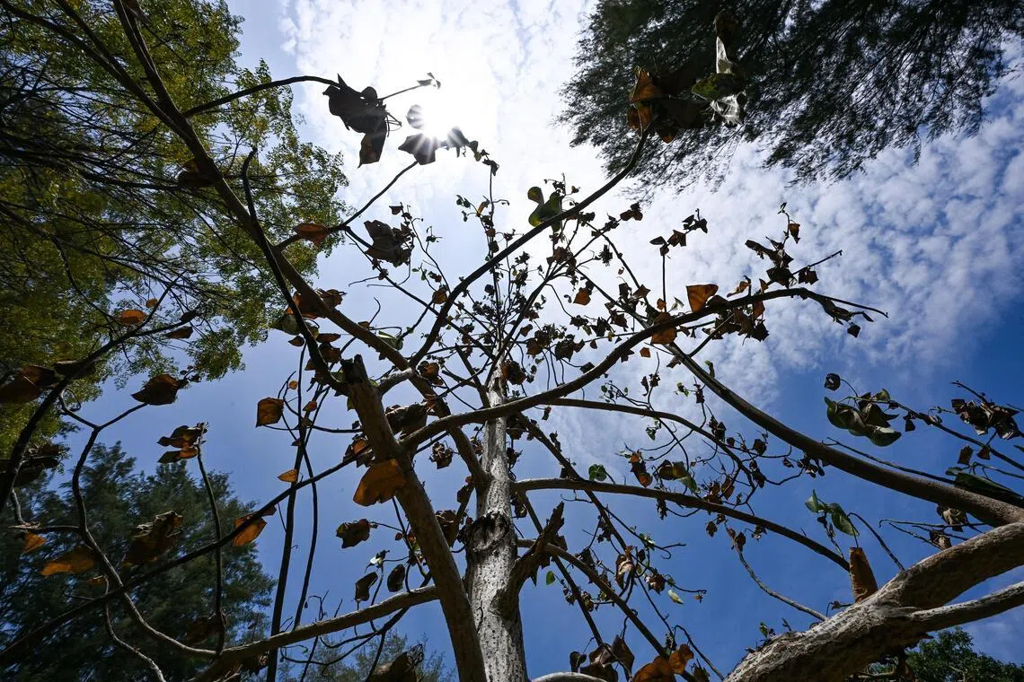 மார்ச் மாத கடைசி இருவாரங்கள் வெப்பமாக இருக்கும்: வானிலை மையம்