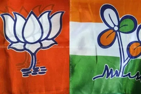 கடந்த சில மாதங்களில் மட்டுமே பாஜக, திரிணாமூல் காங்கிரஸ் கட்சிகள் இணையவழி விளம்பரங்களுக்காக கோடிக்கணக்கில் பணம் செலவிட்டுள்ளன.
