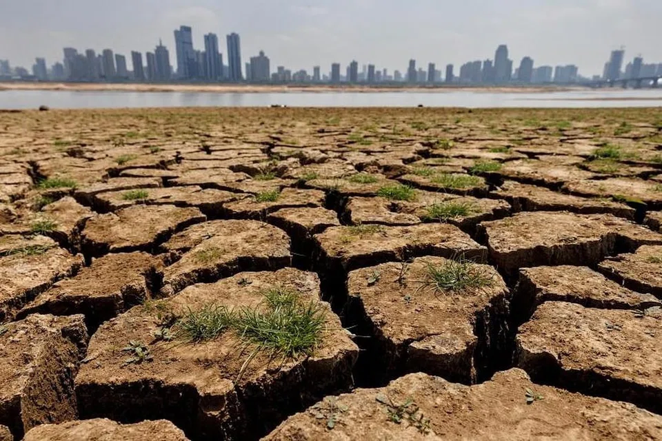 2016ஆம் ஆண்டிலிருந்து, 2023ஆம் ஆண்டு ஆக வெப்பமான ஆண்டாக இருக்கும் எனப் பலமுறை எச்சரிக்கை விடுக்கப்பட்டதாகக் கூறப்பட்டது.