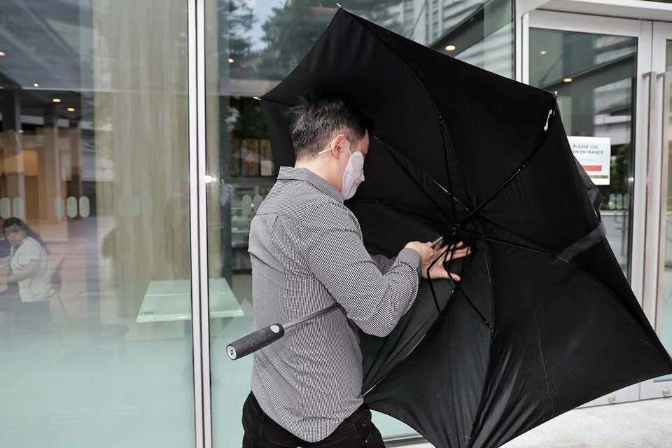 52ffad6d-3b56-4ebf-a184-5a64eaca3f9c