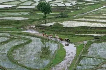 2026ஆம் ஆண்டு தேசிய ஊராட்சி நாளை முன்னிட்டு, இஸ்ரோ உயர்தெளிவுத்திறன் கொண்ட செயற்கைக்கோள் படங்களைப் பயன்படுத்தி இந்தியாவின் நிலப் பயன்பாடு மற்றும் நிலப்பரப்பு வரைபடத்தை உருவாக்கியுள்ளது.