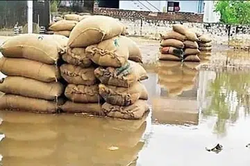 மழை நீரில் வீணாகும் நெல் மூட்டைகள்.