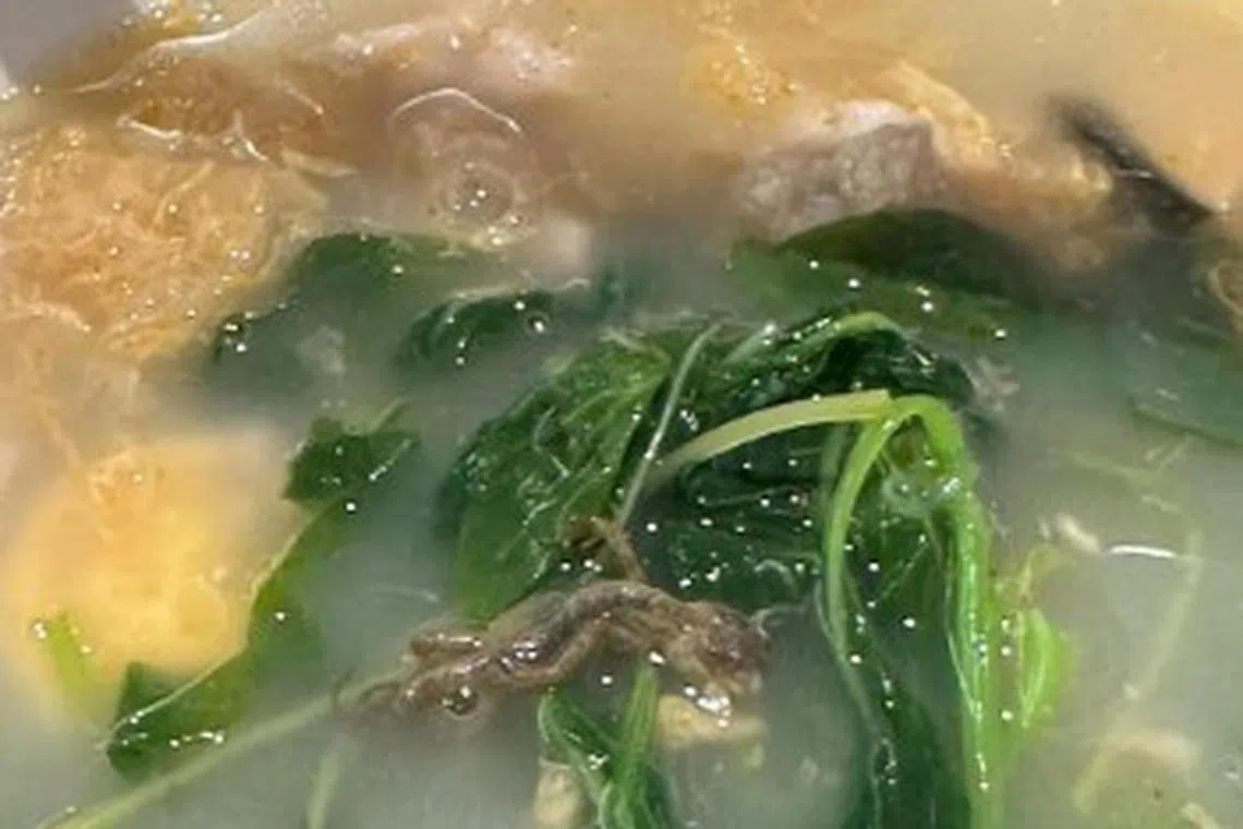 சாப்பாட்டில் பல்லி இல்லை, மீன்: கடை ஊழியர் கூற்று