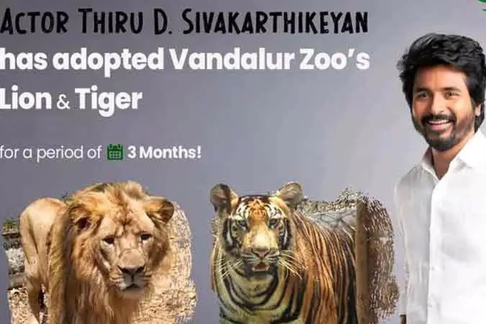 சிவகார்த்திகேயன்.