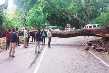 தமிழகத்தின் சிரபுஞ்சி என்றழைக்கப்படும் சின்னக்கல்லாரில் 12 சென்டி மீட்டர் மழை பதிவாகியுள்ளதாக ஊடகத் தகவல்கள் தெரிவிக்கிறது.