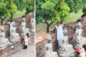 சமூக ஊடகங்களில் பரவலாகப் பகிரப்பட்ட காணொளியில் இரு பெண்கள் மாம்பழம் பறிக்கும் சம்பவம் பதிவாகியுள்ளது.
