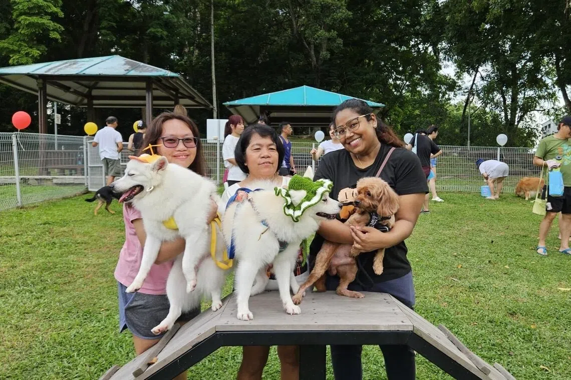 குடியிருப்பாளர்களின் வாழ்க்கையை மேம்படுத்திய சமூக முயற்சிகள்
