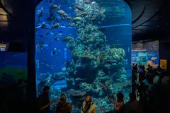 கண்காட்சி மே 20 முதல் ஜூலை 19ஆம் தேதி வரை நடைபெறும். 