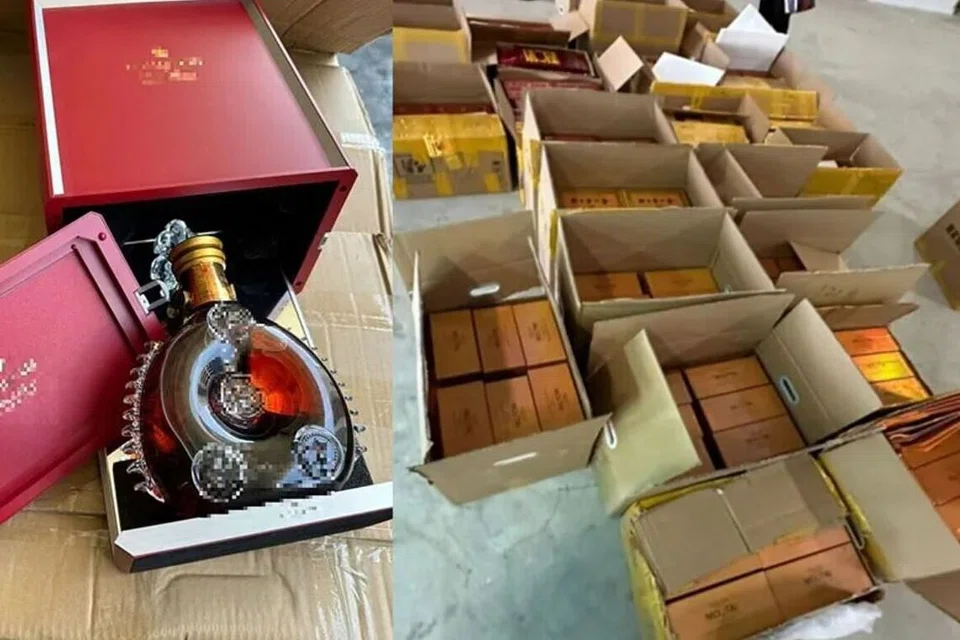 படம்: குடிநுழைவு சோதனைச் சாவடிகள் ஆணையம்