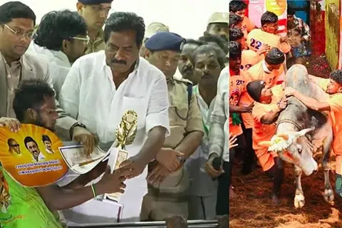 முதலிடம் பிடித்த மாடுபிடி வீரருக்கு கார் பரிசாக வழங்கப்பட்டது.