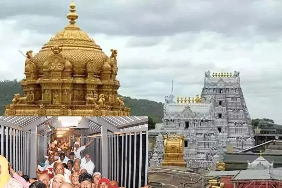 தரிசனத்திற்கு வரிசையில் காத்திருக்கும் பக்தர்களுக்கு திருப்பதி தேவஸ்தானம் சார்பில் தன்னார்வலர்கள் மூலம் நீர், மோர், குளிர்பானங்கள் உள்ளிட்டவை வழங்கப்பட்டு வருகின்றன.
