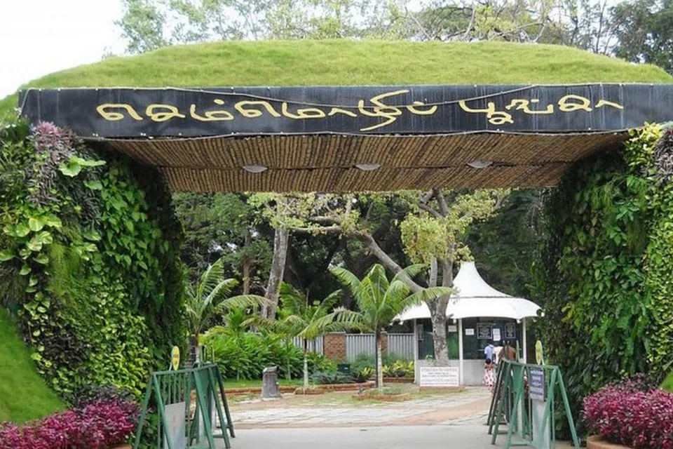 சென்னை செம்மொழிப் பூங்காவில் நேற்று (வியாழக்கிழமை) மாபெரும் மலர்க்கண்காட்சியை முதல்வர் மு.க.ஸ்டாலின் தொடங்கி வைத்தார்.