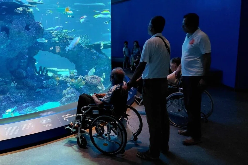 ஸ்ரீ நாராயண மிஷன் இல்லத்தைச் சேர்ந்த முதியவர்கள், சிங்கப்பூர் கடல்வாழ் உயிரினக் காட்சியகத்திற்கு சிறப்பு உலாவிற்கு அழைத்துச் செல்லப்பட்டனர்.