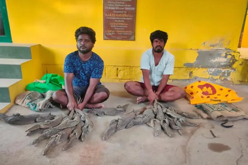 கிருஷ்ணகிரி அருகே 17 உடும்புகள் மீட்கப்பட்டுள்ள நிலையில், மூவர் கைது செய்யப்பட்டுள்ளனர்.