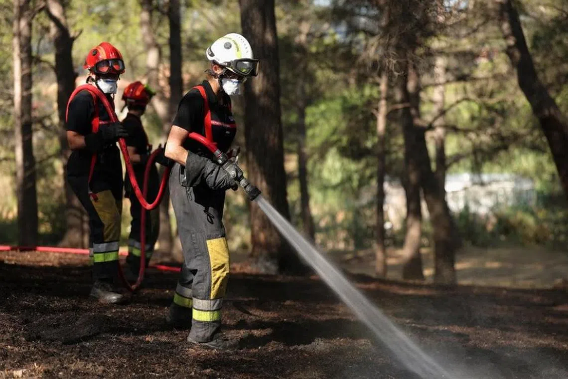 தெற்கு பிரான்சிஸ் கடுமையான காட்டுத் தீ