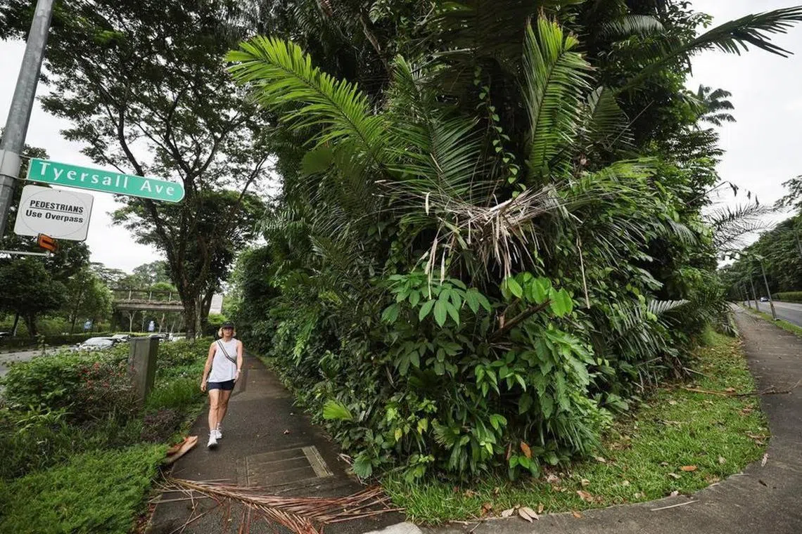 பூமலைக்கு அருகே நிலப்பகுதிகளை மாற்றிக்கொள்ள சிங்கப்பூர் - ஜோகூர் ஆட்சியாளர் இணக்கம்