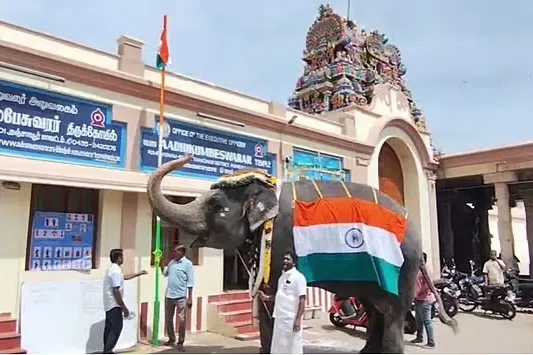 தேசியக் கொடிக்கு மரியாதை செலுத்திய ஆதி கும்பேஸ்வரர் யானை